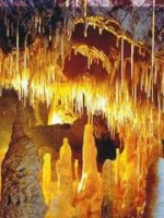 /album/galerie-foto/images-26-jpg1/